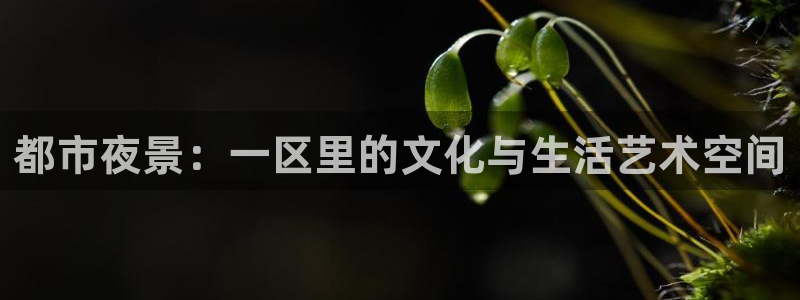 韦德1946最新网站