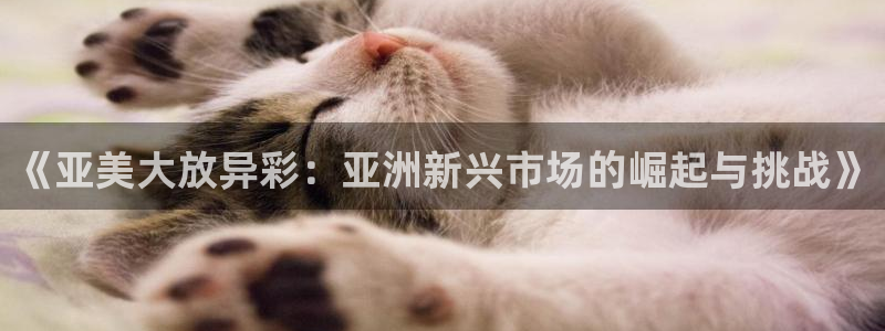 韦德1946官网最新版