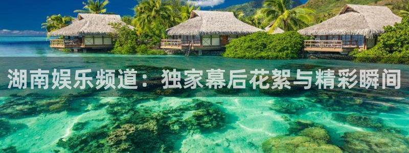 韦德1946送体验金下官网版本.登录官网.org